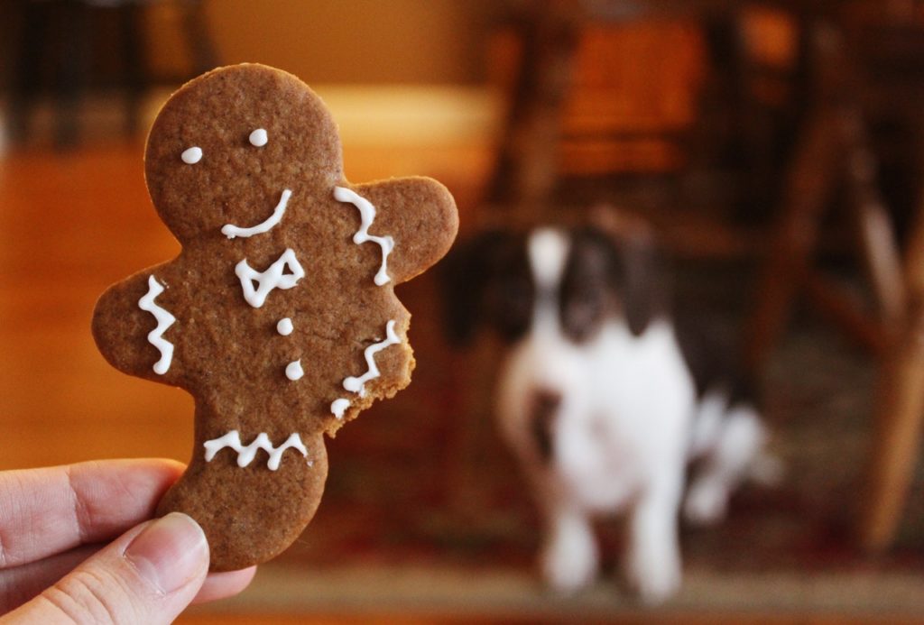 cookie consent