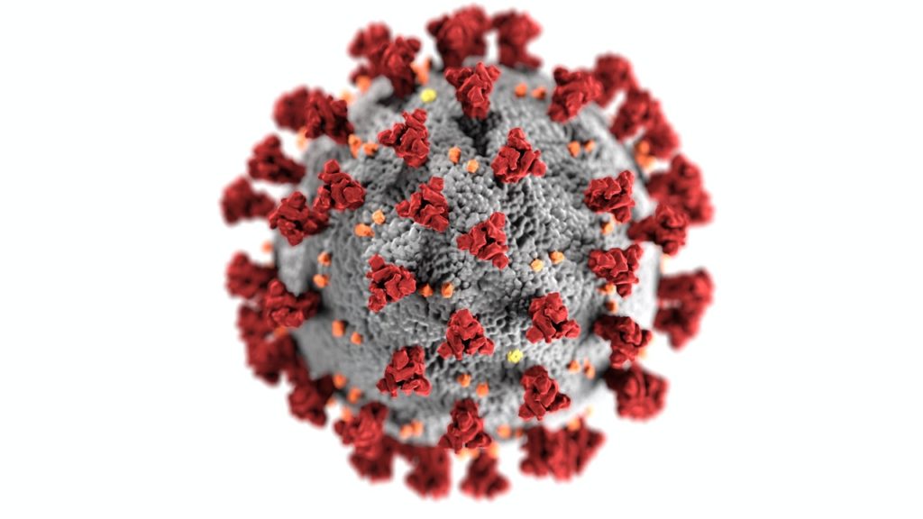 Cygnus Coronavirus